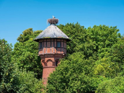 Stork nest on a water tower in the stork village of Rühstädt, young birds in the nest, Prignitz,