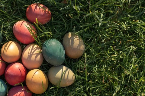 A collection of vibrant Easter eggs rests on lush green grass, casting playful shadows. The eggs in