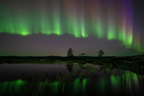 Northern Lights (Aurora borealis) reflected in a mountain lake, Norrbotten, Lapland, Sweden,
