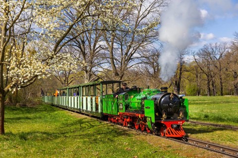 The popular small railway in Dresden's Great Garden has been in operation for 75 years. The steam