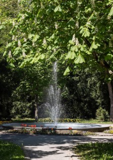 Fountain in the castle park, Steyr, Traunviertel, Upper Austria, Austria