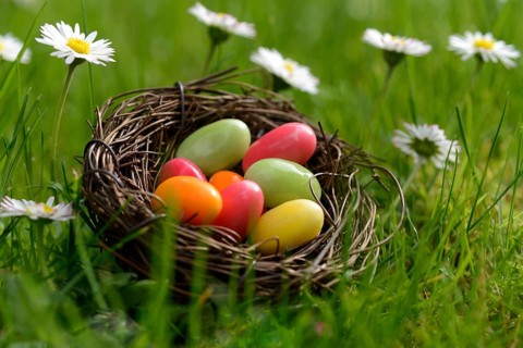 Sugar eggs in an Easter nest in the meadow with daisies
