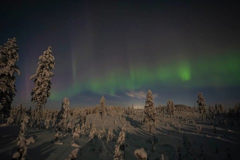 Northern Lights (Aurora borealis) over moonlit winter landscape, Nattavaara, Norrbotten, Lapland,