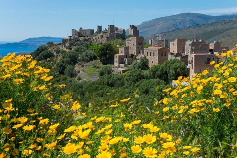 Yellow flowers in the foreground of a picturesque village on a hill, residential towers, Vathia,