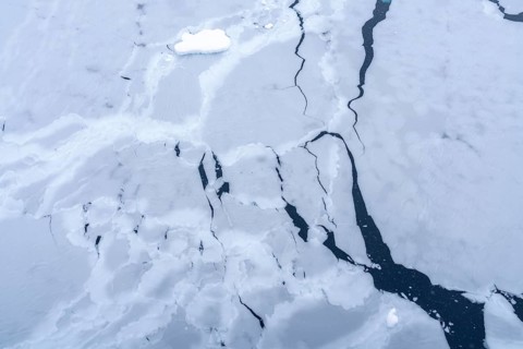 Broken sea ice with cracks and floes on dark water surface, aerial view, Gerlache Strait, Antarctic