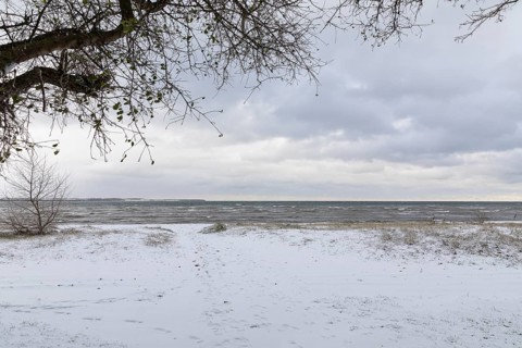 Winter on the Baltic Sea, snow in Wohlenberger Wieck, Bay of Wismar, Mecklenburg-Western Pomerania,