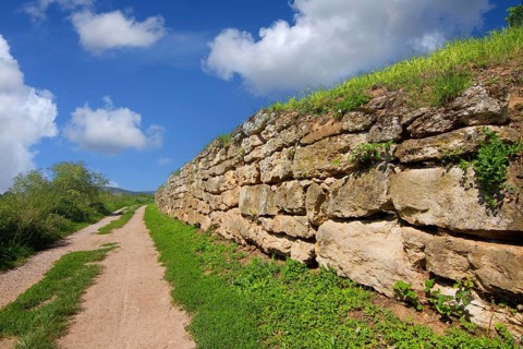 The Hiwweltour near Siefersheim, vineyard, vineyard wall, protective wall, Hiwweltour, hiking