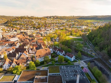 Urban landscape with river, numerous buildings and spacious green areas, Nagold, Black Forest,