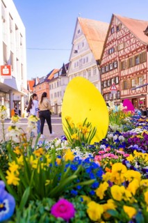A large yellow Easter egg in a bed of spring flowers in the old town centre, Nagold, Black Forest,