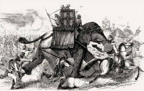 Elephantry of the Sikh Empire, Battle of Ferozeshah, First Anglo-Sikh War, 1845