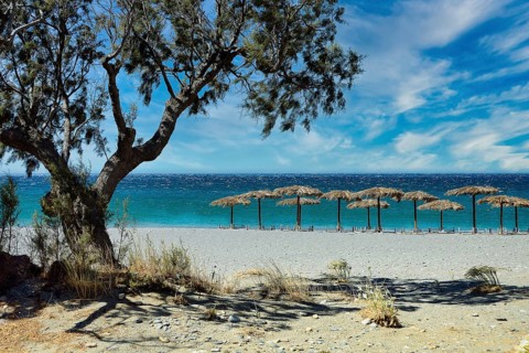 Tamarisk and parasols on the beach, Plakias, Crete, Greece