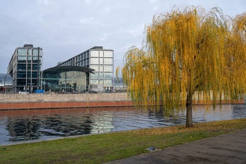 Weeping willow on Ludwig-Erhard-Ufer, Central Station, Spree, Berlin, Germany