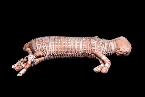 Mummified cat from the Ptolemaic period from the exhibition: Ramses the Great and the Gold of the