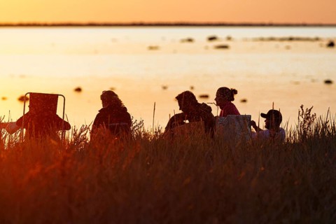 Group of people on coastline enjoying sunset, swarm of mosquitoes, silhouettes, Klintehamn, west