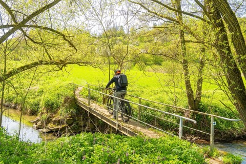 A cyclist crosses a small bridge over a river, surrounded by spring greenery, Gechingen, district