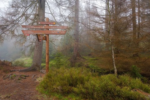 Signpost at the Oderteich, Nebel, Harz National Park, Lower Saxony, Germany