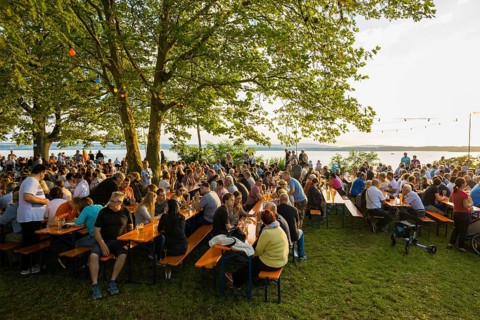 Wine festival in the vineyards, sunset, Meersburg, Lake Constance, Baden-Württemberg, Germany