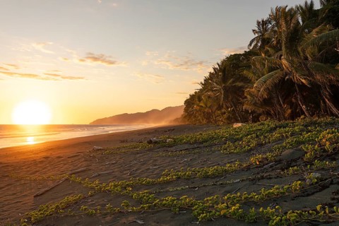 Low sun illuminates ocean spray and palm trees on the beach, with views of Corcovado National Park.