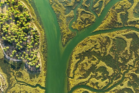 Aerial view showcasing the intricate patterns and vibrant colors of the Guadalquivir Marshes,