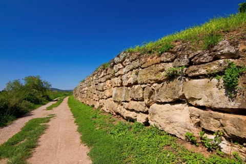 The Hiwweltour near Siefersheim, vineyard, vineyard wall, protective wall, Hiwweltour, hiking