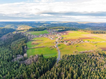Panorama of a village with surrounding fields, forests and rolling hills in a rural setting,