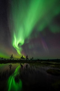 Northern Lights (Aurora borealis) reflected in a mountain lake, Norrbotten, Lapland, Sweden,