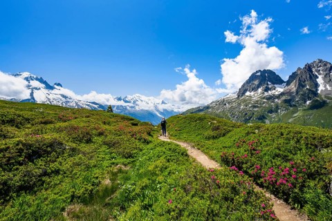 Mountaineers on hiking trail, mountain panorama with glaciated mountain peaks, Aiguille du Midi and