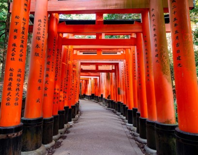 Walk through hundreds of red traditional torii gates, Fushimi Inari Taisha, Shinto Shrine, Fushimi