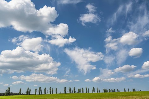 Cloudy sky over a row of poplars, flatness, Saxon Switzerland, Saxony, Germany, May 2024