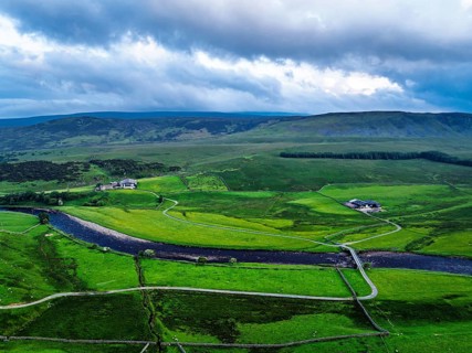 Forest in Teesdale over River Tees from a drone, North Pennines AONB, County Durham, England,