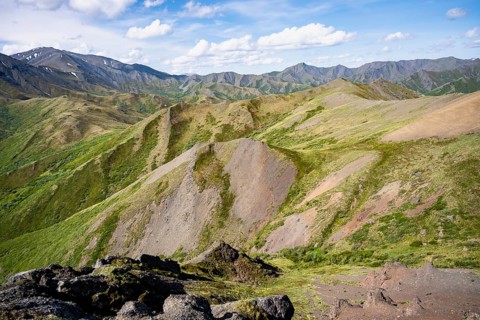 Tundra and mountainous landscape of the Alaska Range, Sable Pass, Denali National Park and