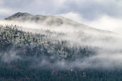 Evening fog in the mountains, Alvdal Vestfjell, Hedmark, Innlandet, Norway, October 2025