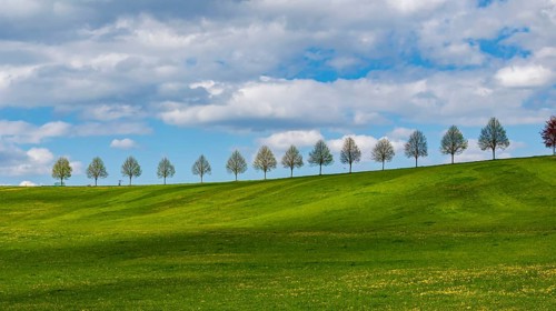 Row of trees on a hill in spring. Landscape on the edge of Schönbuch near Waldenbuch. Waldenbuch,