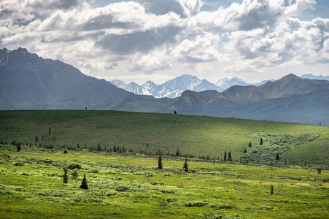 Tundra and mountain landscape with dramatic cloudy sky, Denali National Park, Alaska, USA