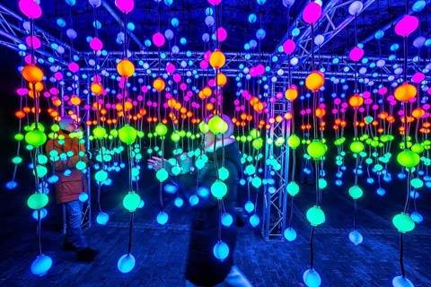 Park lights, winter event, in the Grugapark in Essen, many different light installations, across