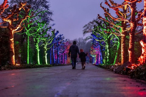 Park lights, events in winter, in the Grugapark in Essen, many different light installations,
