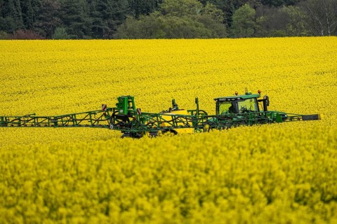 Agriculture, rapeseed field in full bloom, farmer sprays the field with a John Deere M952 trailer