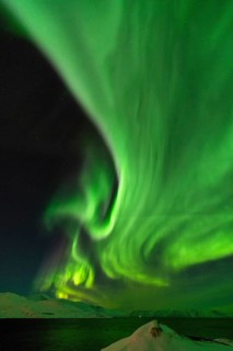 Northern Lights (Aurora borealis), Hasvik, Söröya, Finnmark, Norway, February 2019