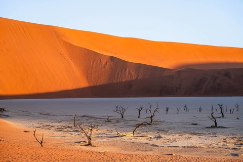 Dead camel thorn trees (Vachellia erioloba), red sand dunes, white salt pan, Dead Vlei, Sossusvlei,