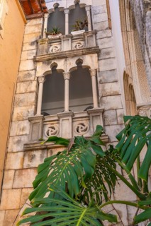 Decorative balcony with potted plants overlooking the mediterranean sea in roc de sant gaieta, a