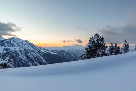A tranquil mountain scene at sunset featuring pristine snow and dense pine trees against a backdrop