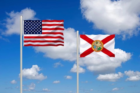 The flag of the USA and Florida, Studio