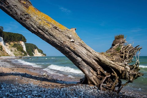 View of chalk cliffs in Jasmund National Park on Rügen, Sassnitz, Rügen, Mecklenburg-Western