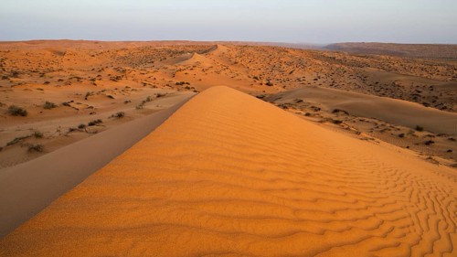 Sand dunes in the Wahiba Sands desert, Oman
