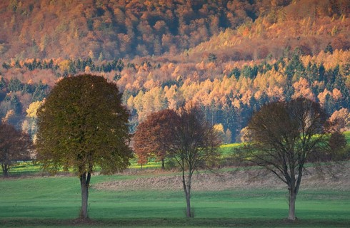 View of Solling forest, Weser River, Lower Saxony, Germany