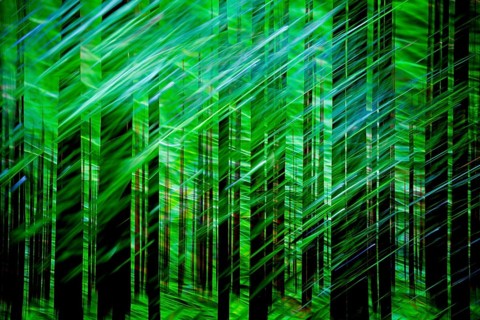 Atmospheric forest, abstract structures, wiping effect, bulb exposure