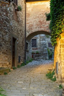 View of a little Street in the little wine town of Montefioralle, Chianti, Florence, Firenze,