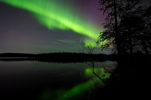 Northern Lights (Aurora borealis) reflected in a forest lake, Gällivare, Norrbotten, Lapland,