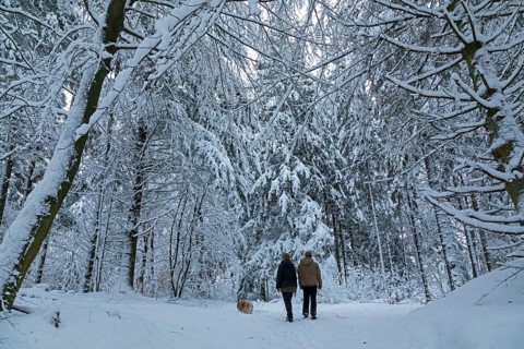 Two woman taking a walk with a dog through a snowy forest, winter, snow, Sieversen, Samtgemeinde