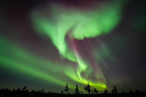 Northern Lights (Aurora borealis), Norrbotten, Lapland, Sweden, September 2024